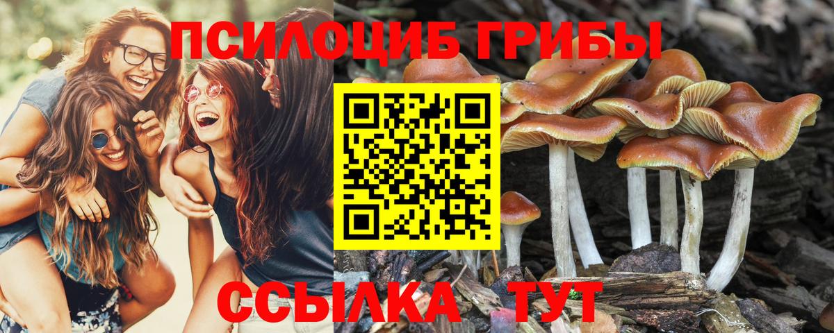 Зима  Галлюциногенные грибы MAGIC MUSHROOMS  Вход с VPN 